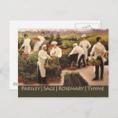 Peterselie, Sage, Rosemary en Thyme Briefkaart (Voorkant / Achterkant)