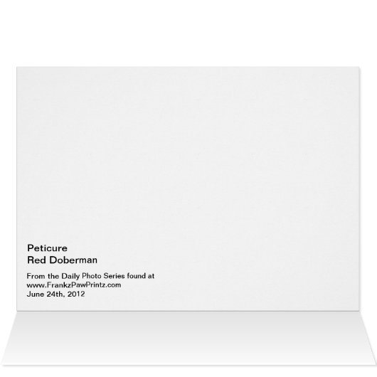 Peticure - Pedicure Spa Day (Binnen Horizontaal (Boven))