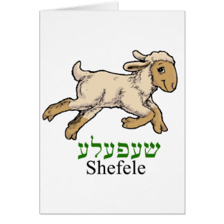 Petit agneau de "Shefeleh" -