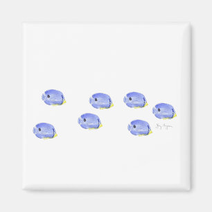 Petit aimant bleu de poissons