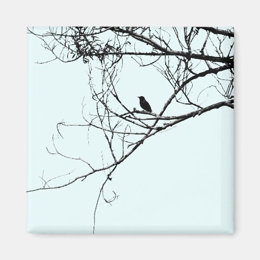 Petit aimant d'oiseau noir (Devant)