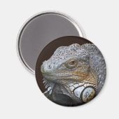 Petit aimant Dragon (Recto/Verso)
