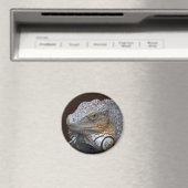 Petit aimant Dragon (In Situ (Lave-vaisselle))