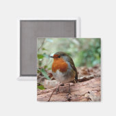 Petit aimant Robin (Recto/Verso)
