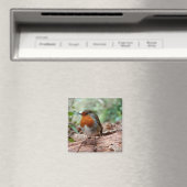 Petit aimant Robin (In Situ (Lave-vaisselle))