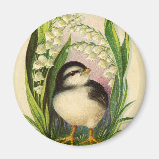 Petit aimant vintage Little Bird (Devant)