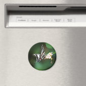 Petit aimant Zebra (In Situ (Lave-vaisselle))