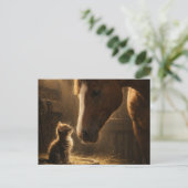 Petit Ami | Cheval & Chat | Carte Postale (Debout devant)