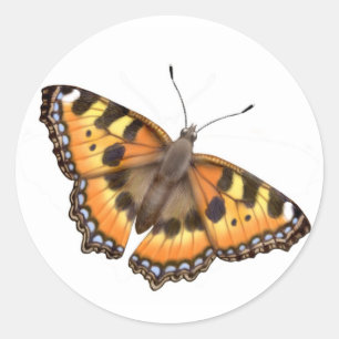 Petit autocollant de papillon d'écaille