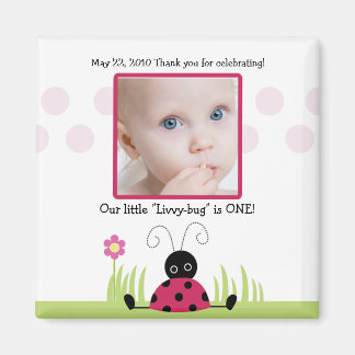 Petit Baby shower de coccinelle / Aimant favori d'