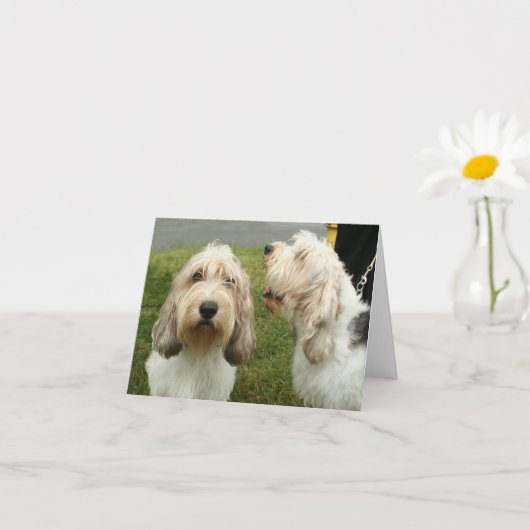 Petit Basette Griffon Vendeen Blank Kaart (Kleine Plant)