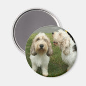 Petit Basette Griffon Vendeen Magneet (Voorkant / Achterkant)