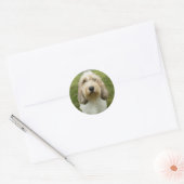 Petit Basette Griffon Vendeen Ronde Sticker (Envelop)