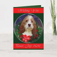 Petit Basset Giften van Kerstmis van Griffon