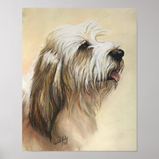 Petit Basset Griffon Vendeen Dog Art Print (Voorkant)