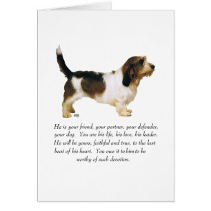 Petit Basset Griffon Vendeen Homme