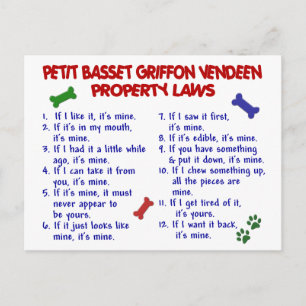 PETIT BASSET GRIFFON VENDEEN Property Law 2 Briefkaart