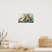 Petit Bittern par Audubon Poster (Cuisine)