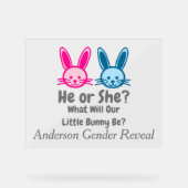 Petit Bunny Gender Reveal (Recto)