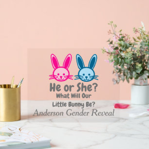 Petit Bunny Gender Reveal