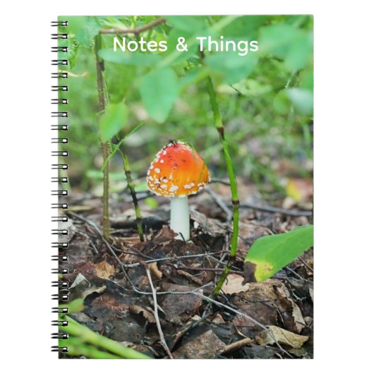 Petit Cahier Champignon de Bois (Devant)