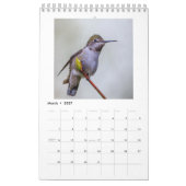Petit calendrier de colibri (Mar 2027)