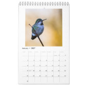 Petit calendrier de colibri (Jan 2027)
