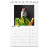 Petit calendrier de colibri (Feb 2027)