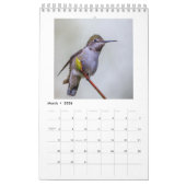 Petit calendrier de colibri (Mar 2026)