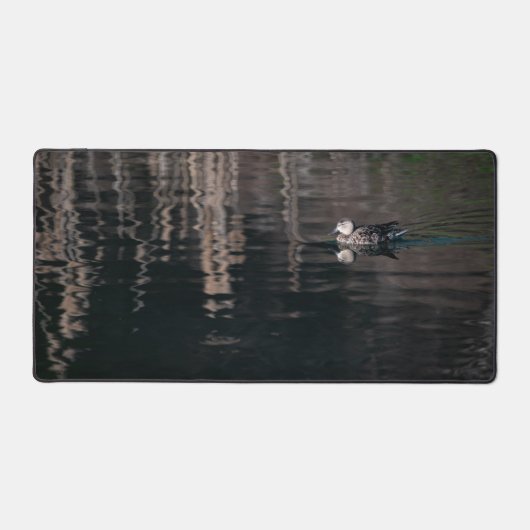 Petit Canard (Recto)