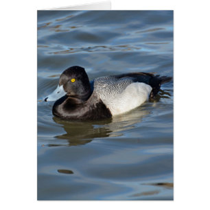 Petit canard à soupe
