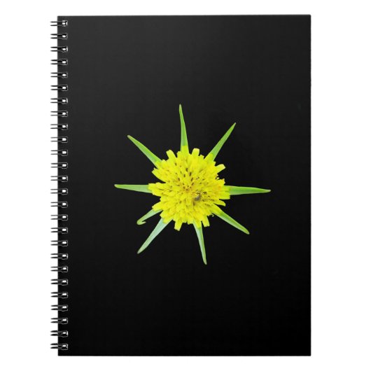 Petit Carnet de spirale de fleur sauvage de barbe  (Devant)