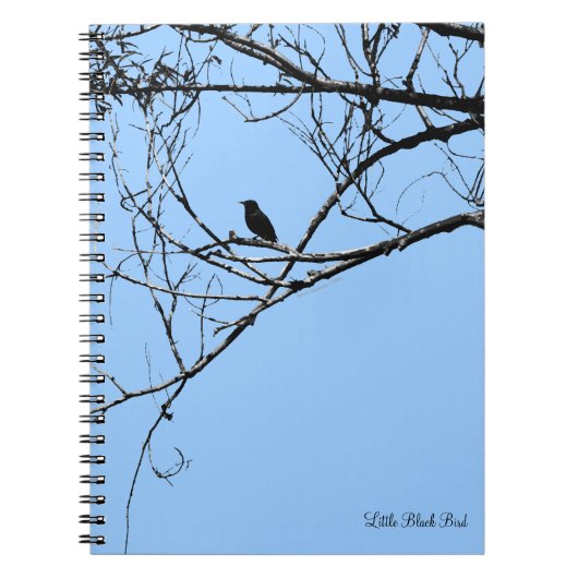 Petit Carnet d'oiseaux noirs (Devant)
