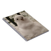 Petit Carnet Snowman (Côté Droit)