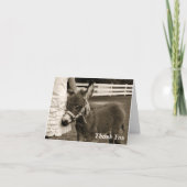 Petit carte de remerciements de Burro (Devant)