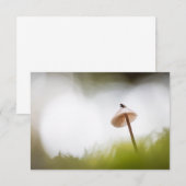 Petit Carte photo de la nature des champignons (Devant / Derrière)