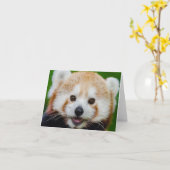 PETIT Carte pour notes BLANC : PANDA ROUGE (Fleur jaune)