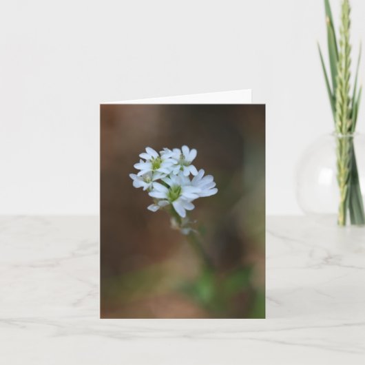 Petit Carte pour notes de fleurs blanches (Devant)