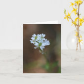 Petit Carte pour notes de fleurs blanches (Fleur jaune)