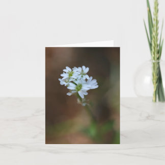 Petit Carte pour notes de fleurs blanches