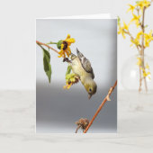 Petit Carte pour notes Goldfinch (Fleur jaune)