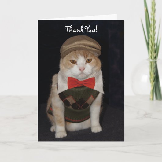 Petit chat Gentleman en Merci de  de Jacquard (Devant)