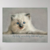 Petit chaton molle, poster de chaton Ragdoll (Devant)