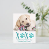 Petit chien animal de compagnie photo XOXO Carte d (Debout devant)