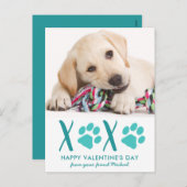 Petit chien animal de compagnie photo XOXO Carte d (Devant / Derrière)