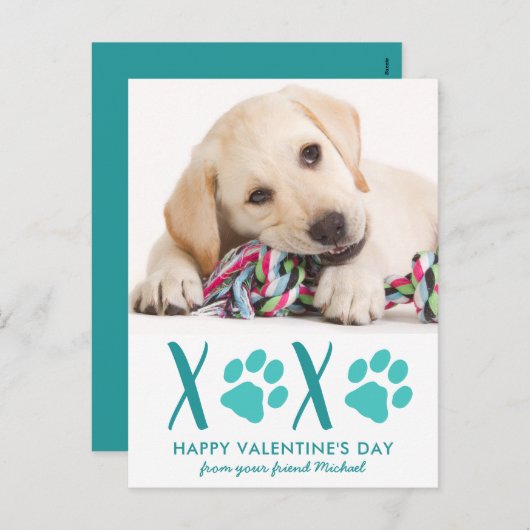 Petit chien animal de compagnie photo XOXO Carte d (Devant / Derrière)