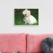 Petit chien blanc sur toile (Insitu(Salon))