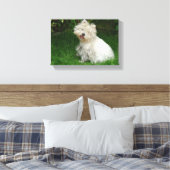 Petit chien blanc sur toile (Insitu(Chambre))
