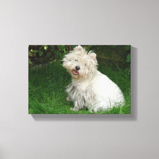 Petit chien blanc sur toile (Recto)