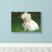 Petit chien blanc sur toile (Insitu (Plancher de Bois))